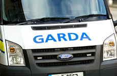 Suspect in murder case suffered traumatic brain injury while trying to escape gardaí