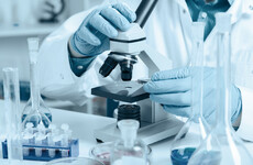 Human eggs grown in lab for first time raise hopes for new fertility treatments