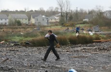 Nama to Nature: Why we are planting trees on ghost estates