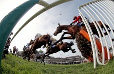 You in? Download your office Cheltenham sweepstakes kit