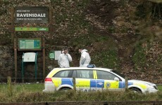 Appeal for information about bodies found in burnt-out car near Dundalk