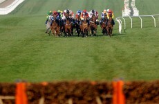 Two more fatalities at Cheltenham today