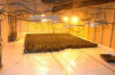 Three due in court over Co Cork cannabis cultivation
