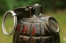 WWI-era grenade discovered in Leitrim garden