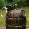 WWI-era grenade discovered in Leitrim garden