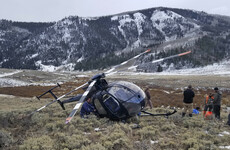 Elk dies after leaping at low flying helicopter