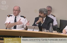 'How in God's name could that be called a comprehensive analysis?': Garda homicide figures probed