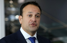 'D. R. A. F. T - not the final draft' - Taoiseach spells out his position in row with cross-party TDs