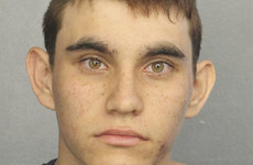 Former student (19) charged with premeditated murder after 17 killed in Florida school shooting