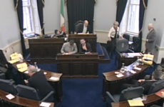 Government stops independent Senators’ move to raise gender quotas