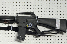 The weapon allegedly used in deadly Florida shooting is known as 'America's rifle'