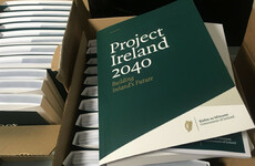 'Mixed messages' 'Thumbs up' 'A cock-up': Here's some of the reactions to the government's grand plan for Ireland