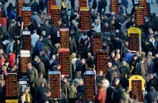 Poll: So, how was Cheltenham for you?