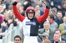 History-maker Big Buck's wins Cheltenham feature