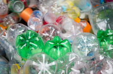 Poll: Are you making efforts to reduce how much plastics you buy?