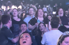 People are convinced that Niall Horan and Hailee Steinfeld are dating after they were spotted at a Backstreet Boys gig