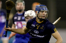Capital gains - Dublin North end wait for Leinster final and DCU make Fitzgibbon Cup history