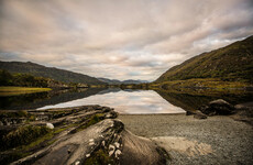 4 events for... nature lovers looking to see the best of Ireland