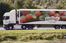 Keelings has taken a swipe at the government for having no 'vision' for family firms