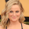 Amy Poehler told the NRA to 'f*ck off' after they used her face in a tweet