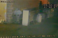 Gang of armed locals chase burglars through town in Leitrim