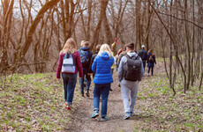 Scouting Ireland seeks to reassure its members after child safety procedures criticised