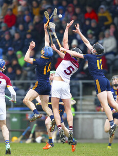 Much-fancied UL seal Fitzgibbon title win despite battling DCU display