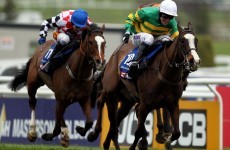 Gold Cup win for Synchronised at Cheltenham