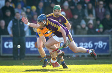 Davy Fitzgerald enjoys win over his native Clare after dominant Wexford second-half