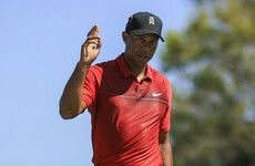 Mind the goose! Tiger Woods collects birdies in more ways than one at Honda Classic