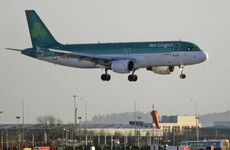Aer Lingus passengers will have to pay up to €60 for the return of lost items