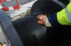 The head of the only remaining National Broadband Plan bidder has suddenly resigned
