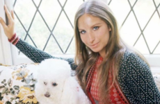 Barbra Streisand has revealed that she cloned her beloved dog twice ...it's The Dredge