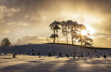 Quiz: Where in the country was this snowy photo taken?