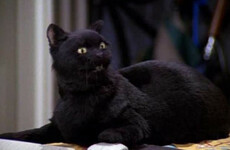 12 things you'll know to be true if you were raised in a superstitious household