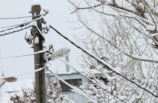 Thousands in Dublin without power as Storm Emma sweeps across the country
