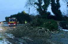 Roof collapse, car fires and trees down - busy night for rescue crews despite weather conditions