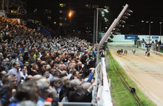 Shelbourne Park to get a €3 million revamp - a year after closing for 22 weeks