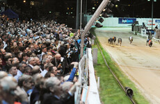 A year after it closed for 22 weeks, Shelbourne Park is getting a multimillion-euro overhaul