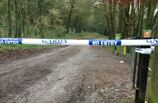 Detailed information from 'key witness' sparks 40-acre hunt for missing Tina Satchwell
