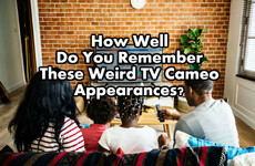 How Well Do You Remember These Weird TV Cameo Appearances?