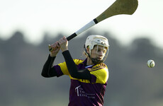 'It's completely different' - Four-time All-Ireland champion enjoying life in Davy Fitz's backroom team