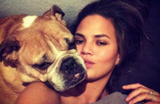 Chrissy Teigen's beloved dog Puddy just passed away and she shared a lovely tribute to him on Instagram