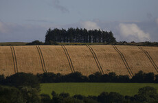 The average price of Irish land has gone up - it now costs over €9k per acre