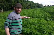 This sheep farmer is leading the push to set up Ireland's first hemp co-op