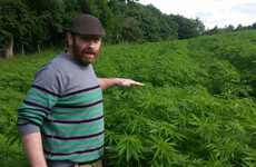 This sheep farmer is leading the push to set up Ireland's first hemp co-op