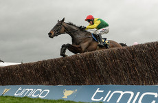 'Massive blow' for Jessica Harrington as Sizing John ruled out of Cheltenham Gold Cup