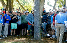 Tiger three off the lead after solid start as McIlroy struggles on day one