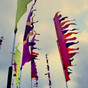 A look back at the changing Electric Picnic lineups over the past 14 years