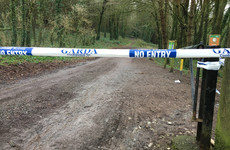 Items discovered in Tina Satchwell search site sent for forensic testing